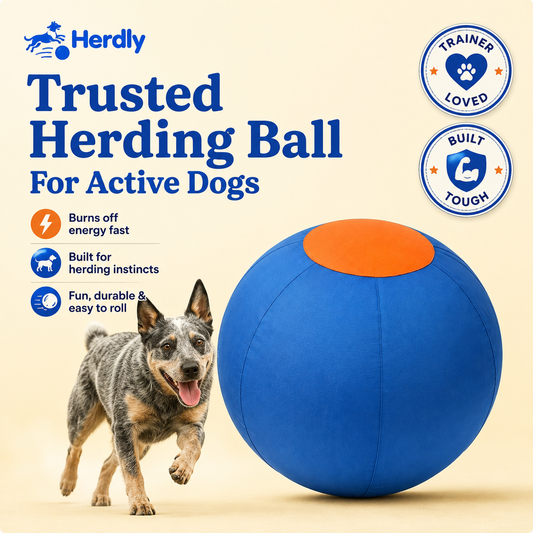 Herdly™ Herding Ball