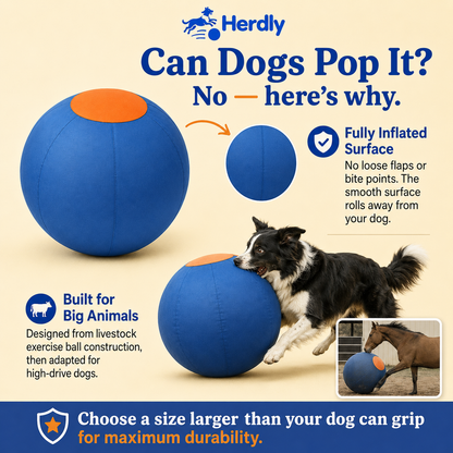 Herdly™ Herding Ball
