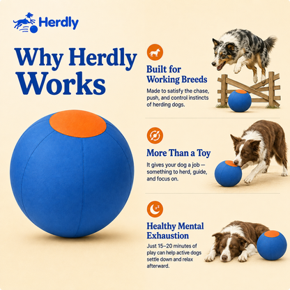 Herdly™ Herding Ball