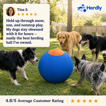 Herdly™ Herding Ball