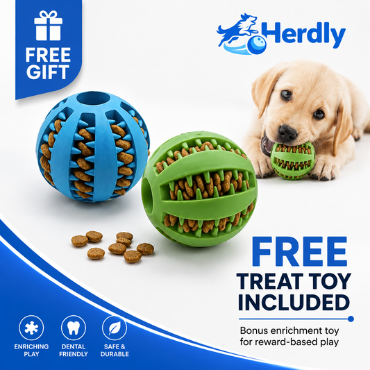 Enrichment Toy